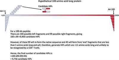 Identifying New Hybrid Insulin Peptides (HIPs) in Type 1 Diabetes